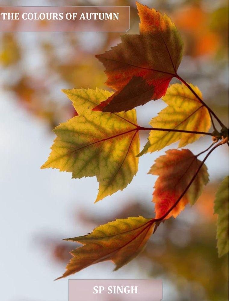 The Colours of Autumn cover