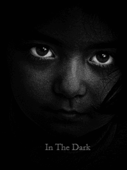 In The Dark cover