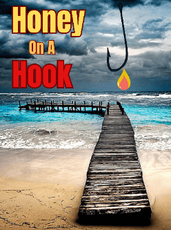 Honey on a Hook cover