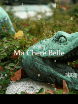 Ma Chere Belle cover