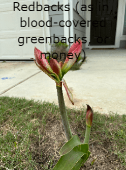 Redbacks (as in, blood-covered greenbacks, or money) cover