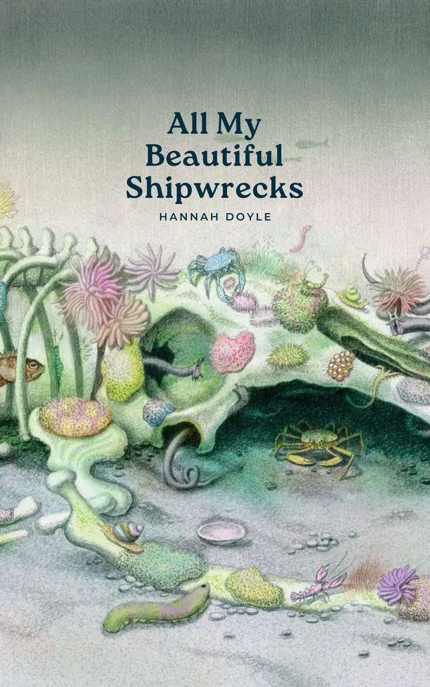 All My Beautiful Shipwrecks cover