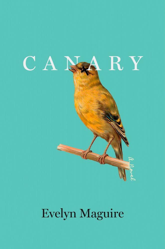 Canary: A Novel cover