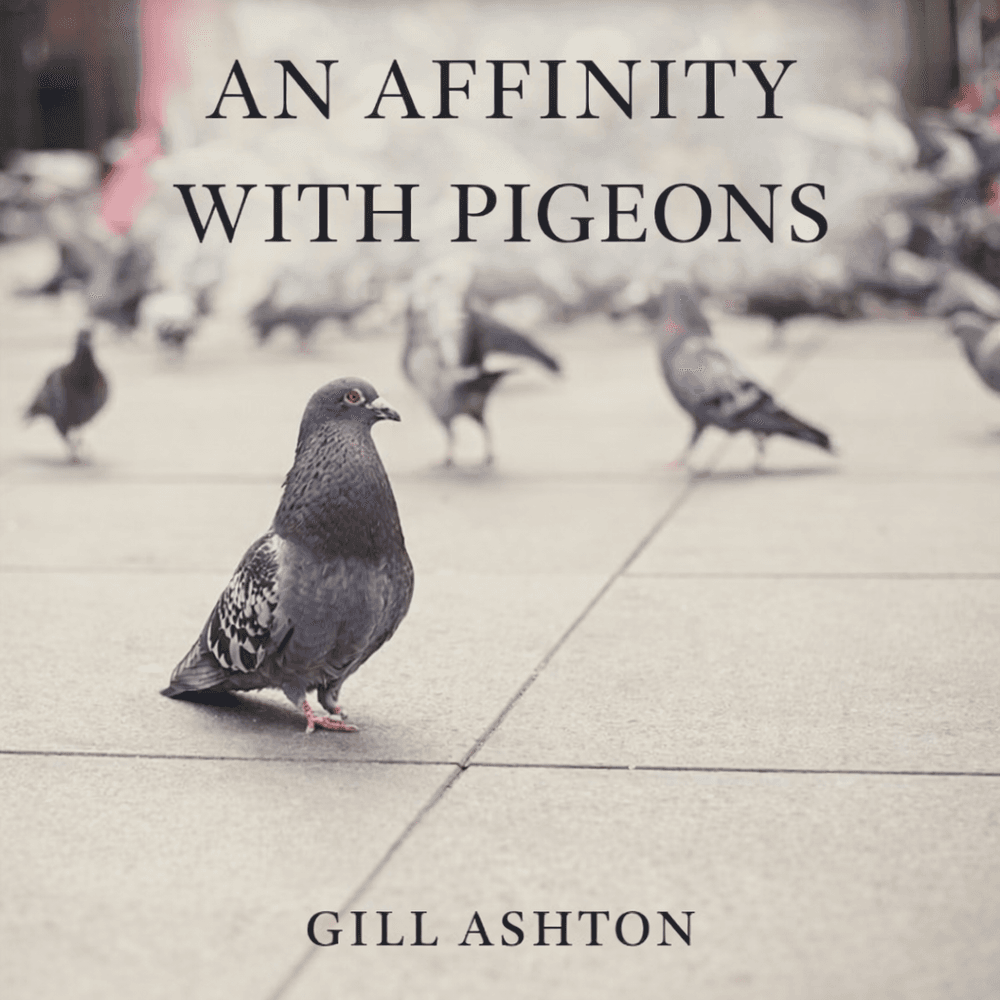 An Affinity with Pigeons cover