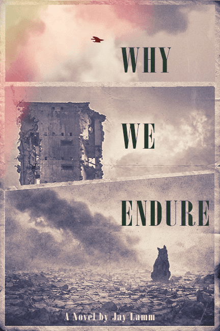 Why We Endure cover