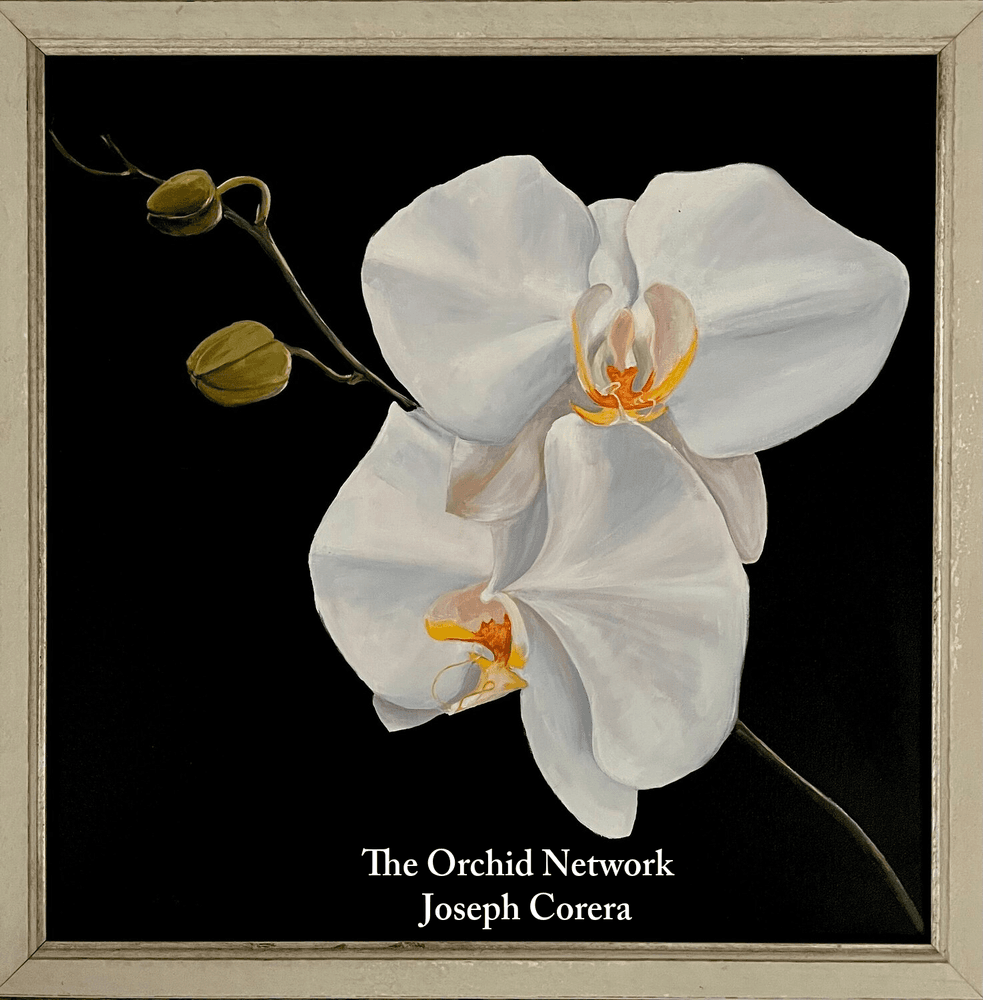 The Orchid Network cover