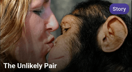 The Unlikely Pair cover