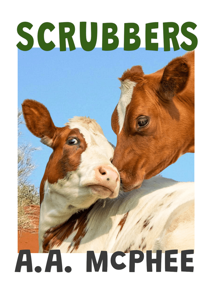 Scrubbers cover