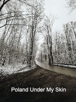 Poland Under My Skin cover