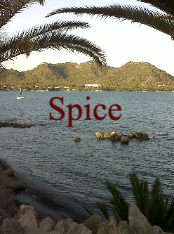 Spice cover