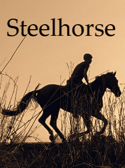Steelhorse cover