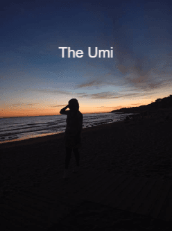 The Umi cover