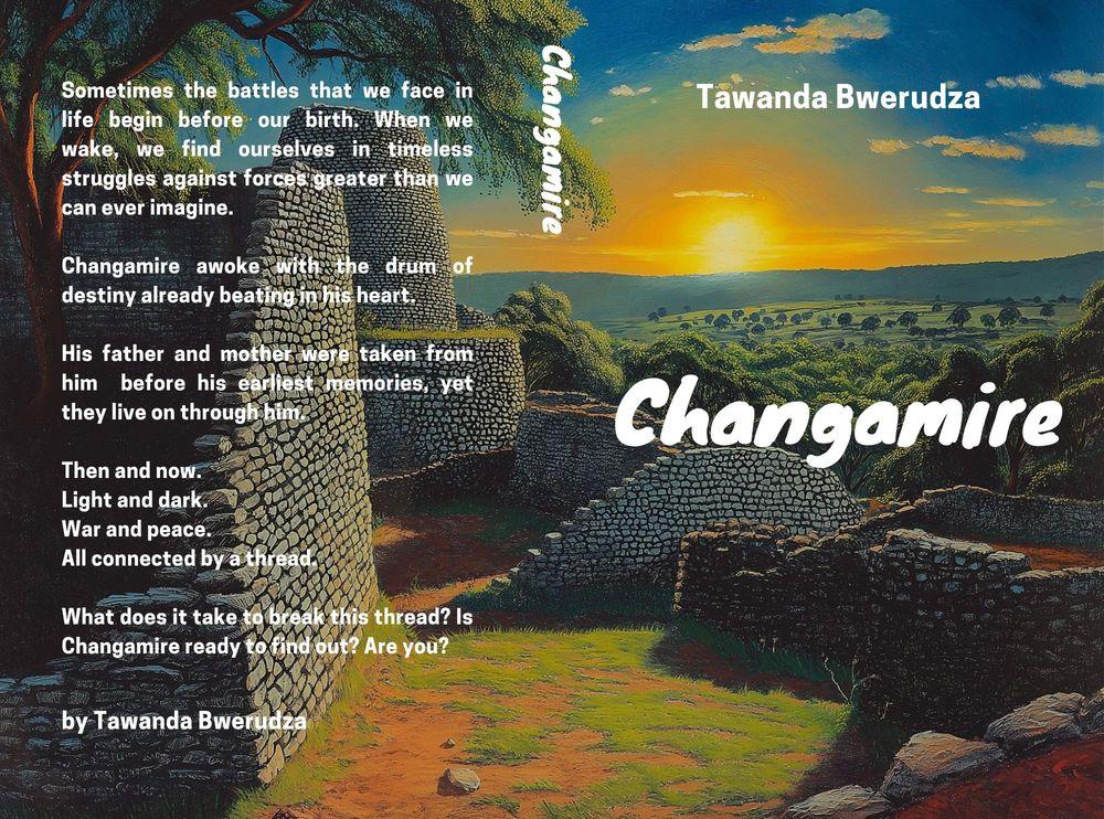 Changamire
A Chief's Sanctuary cover