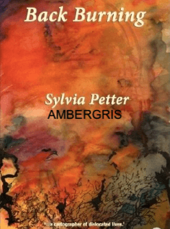 AMBERGRIS cover