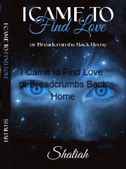 I Came to Find Love
or Breadcrumbs Back Home cover