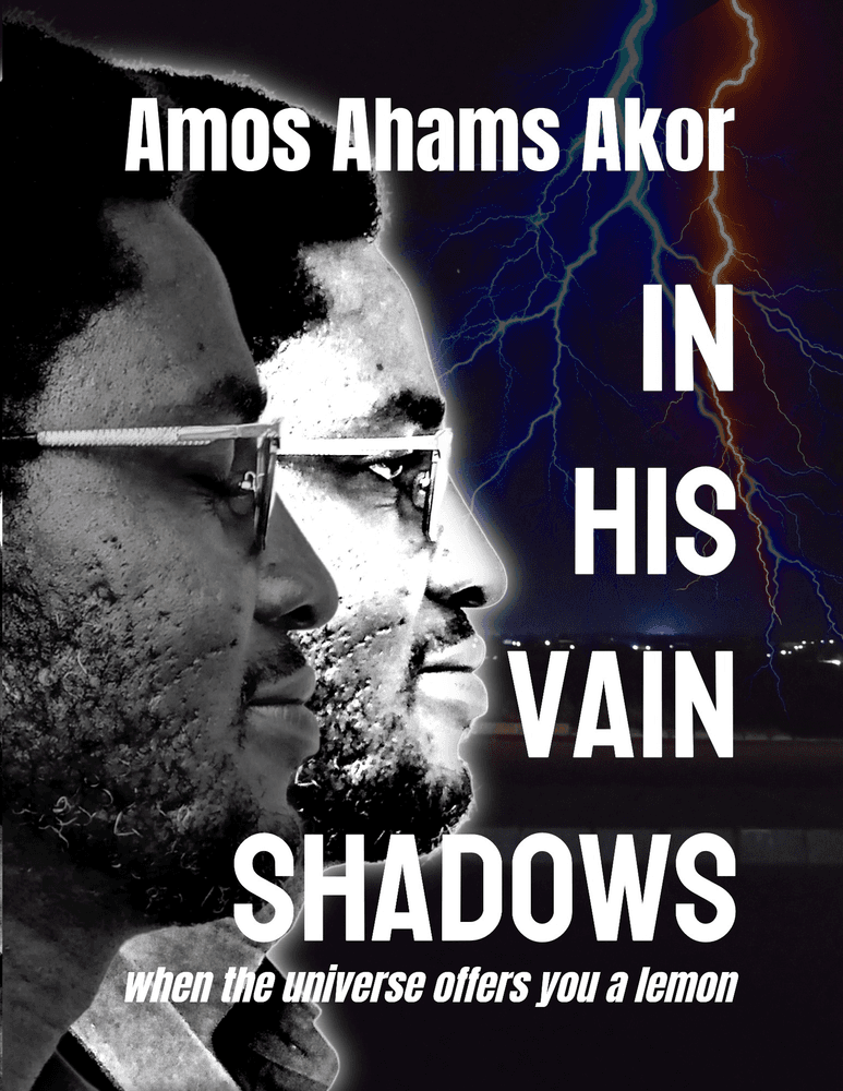 In His Vain Shadows cover