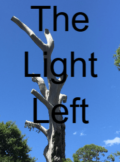 The Light Left cover