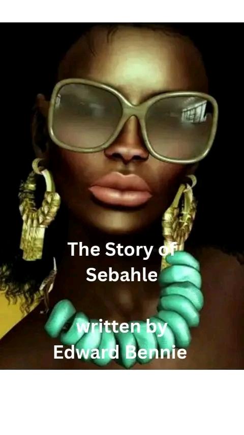 The Story of Sebahle cover