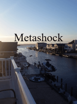 Metashock cover