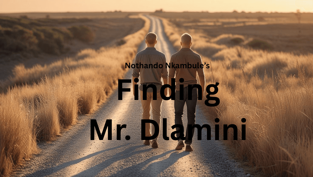Finding Mr. Dlamini cover