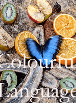 Colourful Language cover