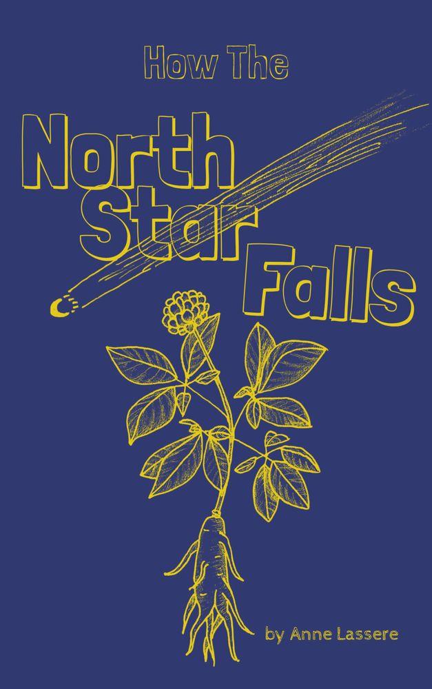 How the North Star Falls cover