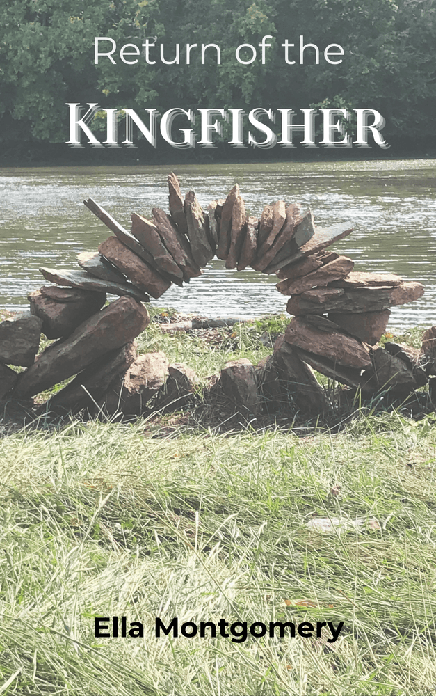 Return of the Kingfisher cover