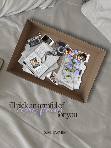 I'll Pick an Armful of Cosmos Flowers for You cover
