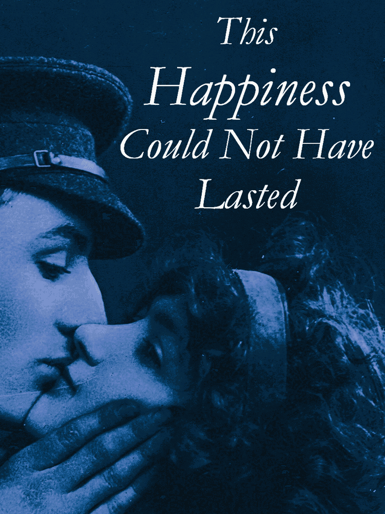 This Happiness Could Not Have Lasted cover