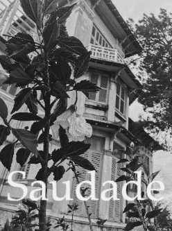 Saudade cover