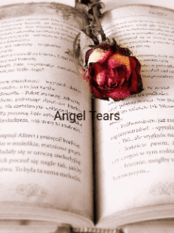 Angel Tears cover