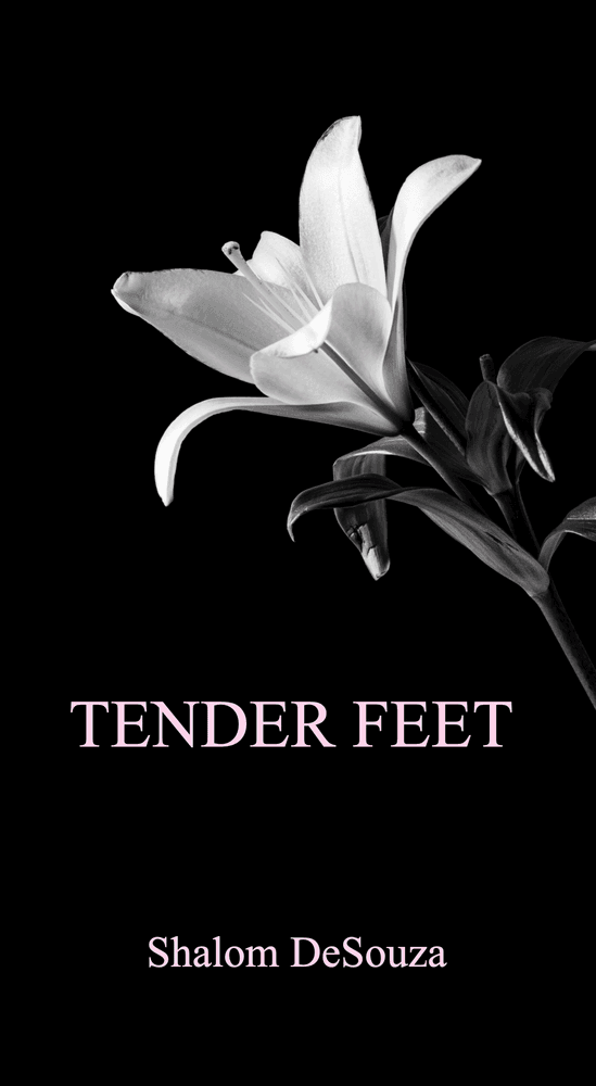 Tender Feet cover