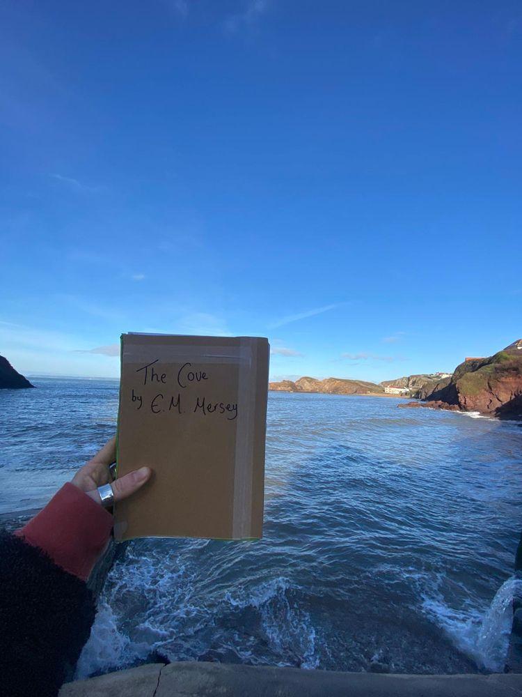 The Cove cover