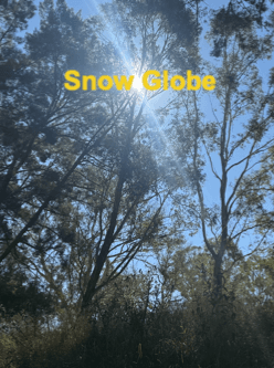 Snow Globe cover