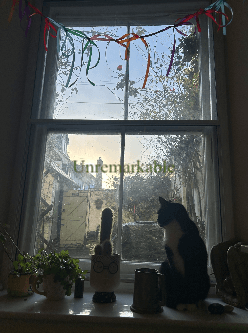 Unremarkable cover