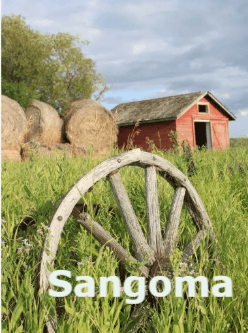 Sangoma cover