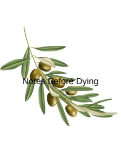 Notes Before Dying cover