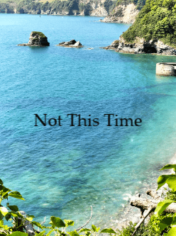 Not This Time cover