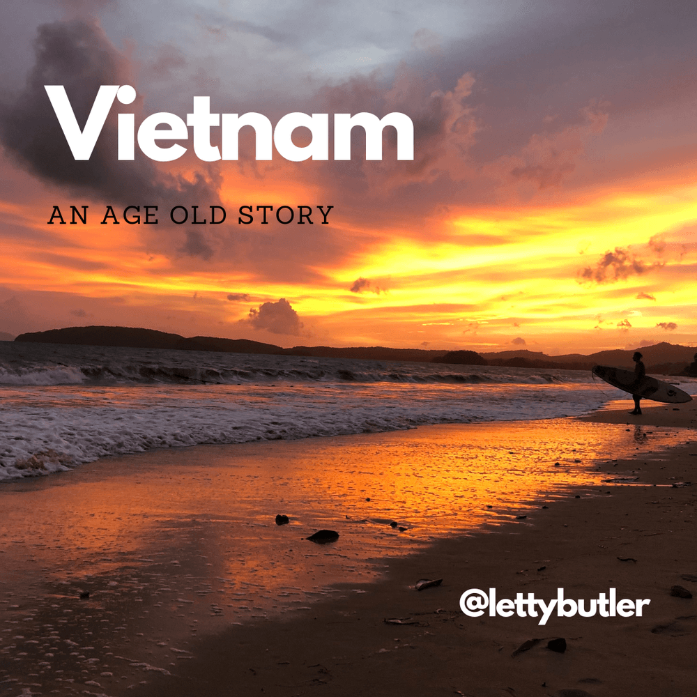 Vietnam cover