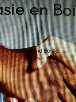 Basie and Boikie cover