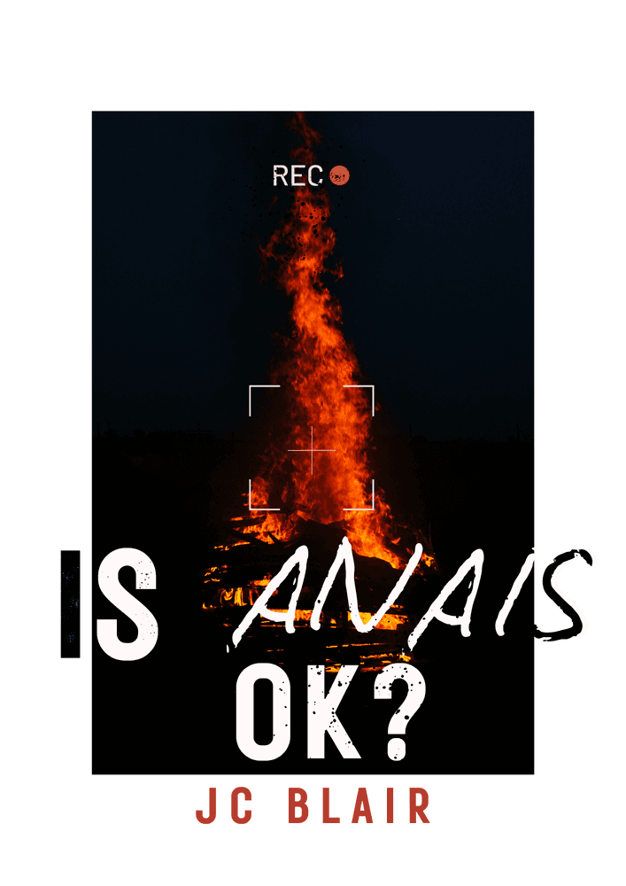 Is Anais OK? cover